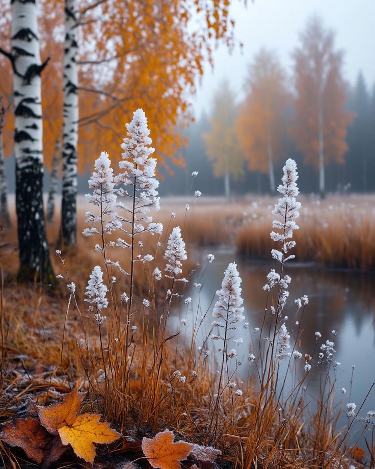 Другим пожалуй уж не стать..