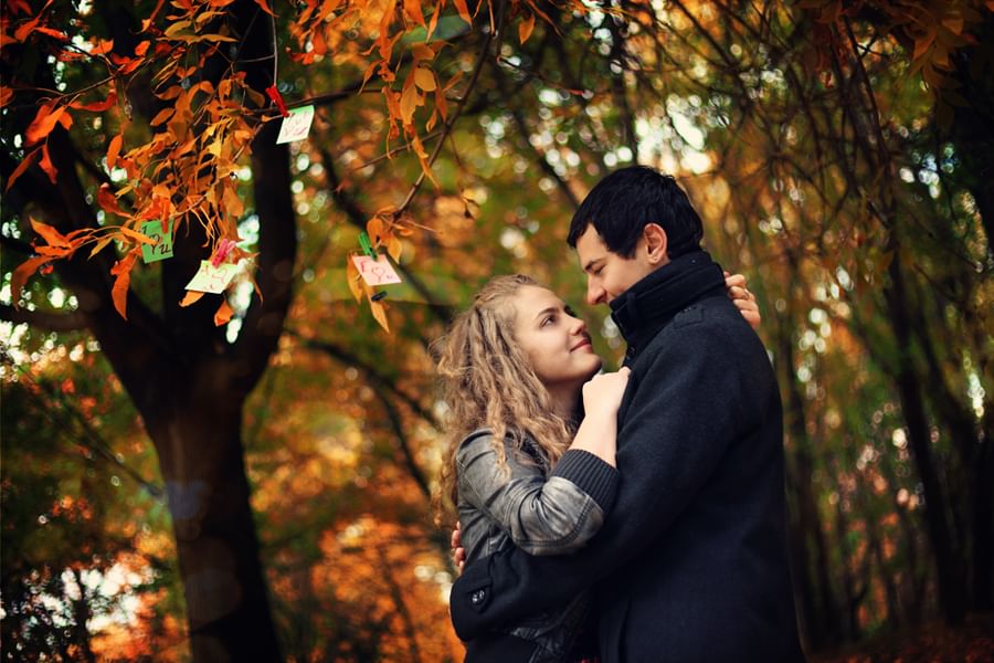 Ты мой душевный элексир