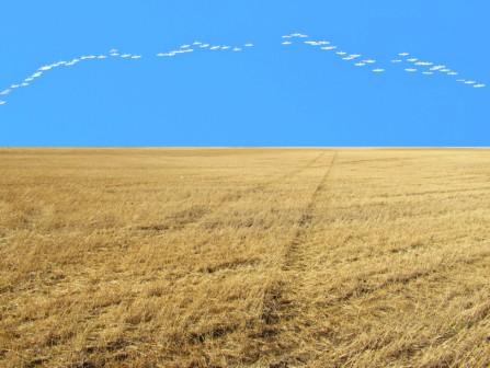 Золото осени