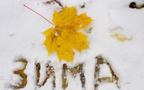 Зимы начало