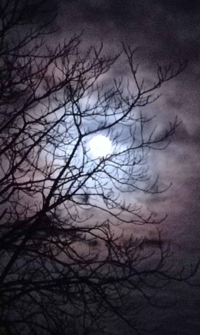 Полнолуние