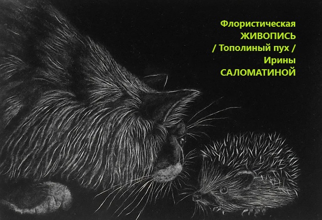 Маслинка. Встреча