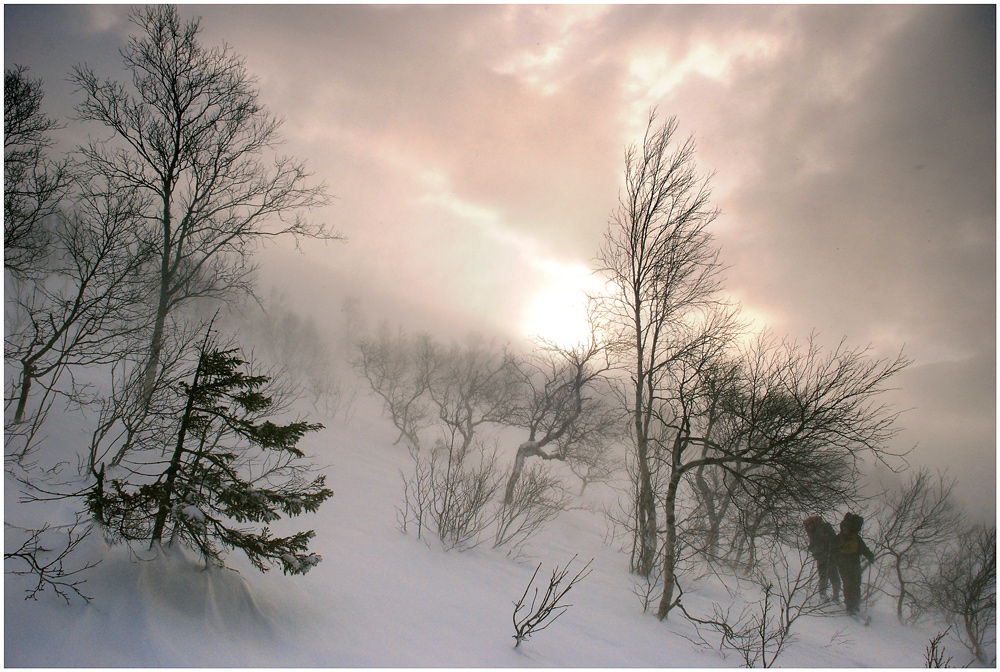 Ночью снег летел