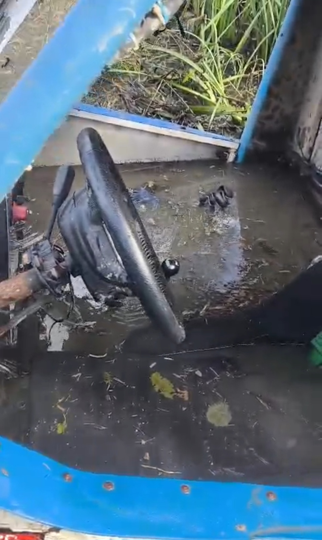 Притоп на болотах