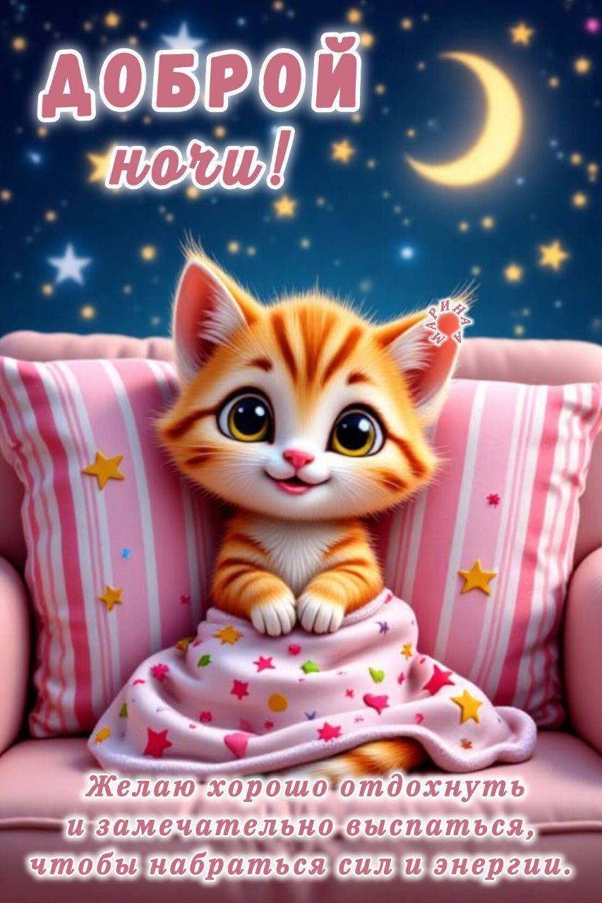 В стране сплошная кошкократия