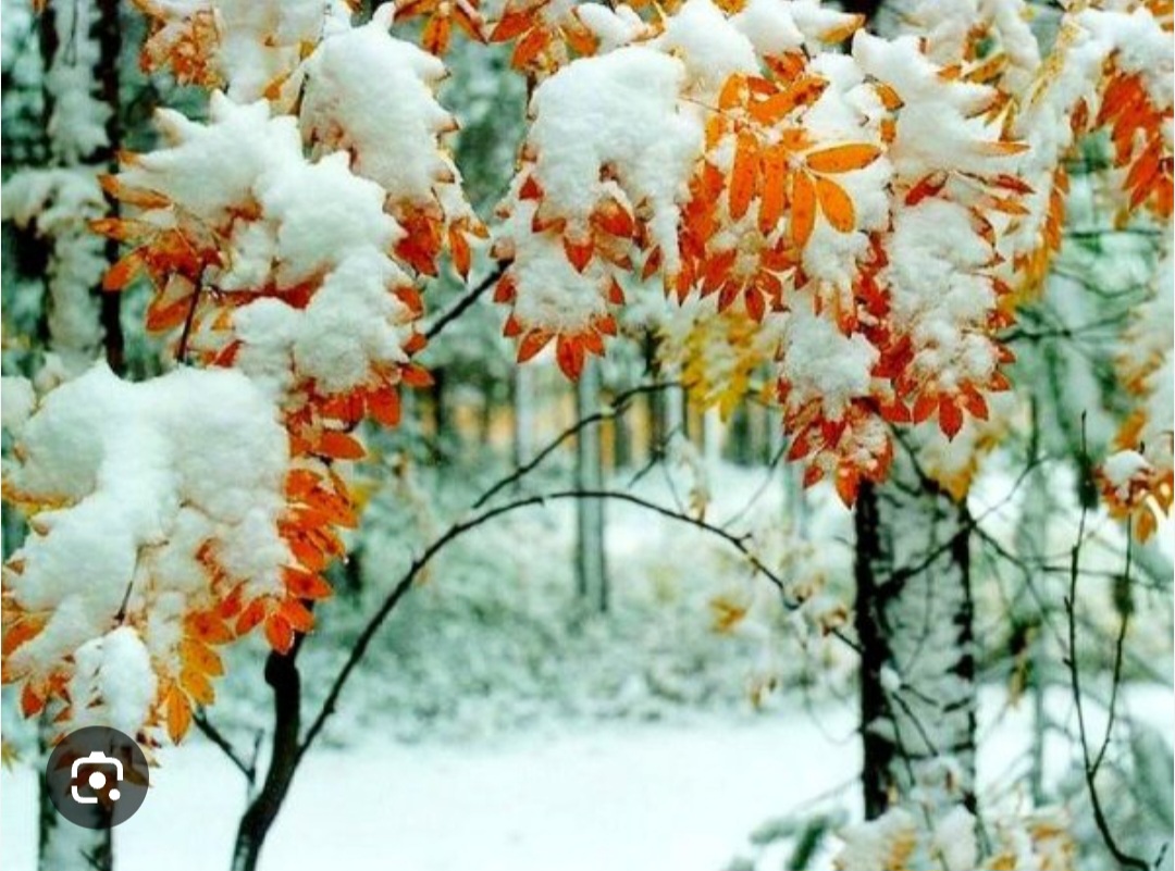 Поздняя осень