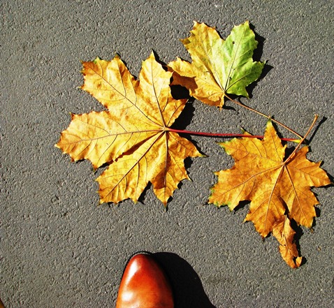 НЕ МОЙ роман