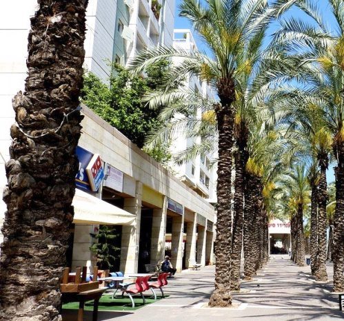 Жизнь Пополам