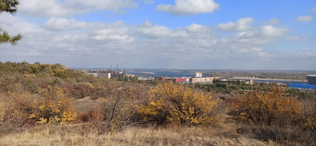 Переживать, хлебнув свободы