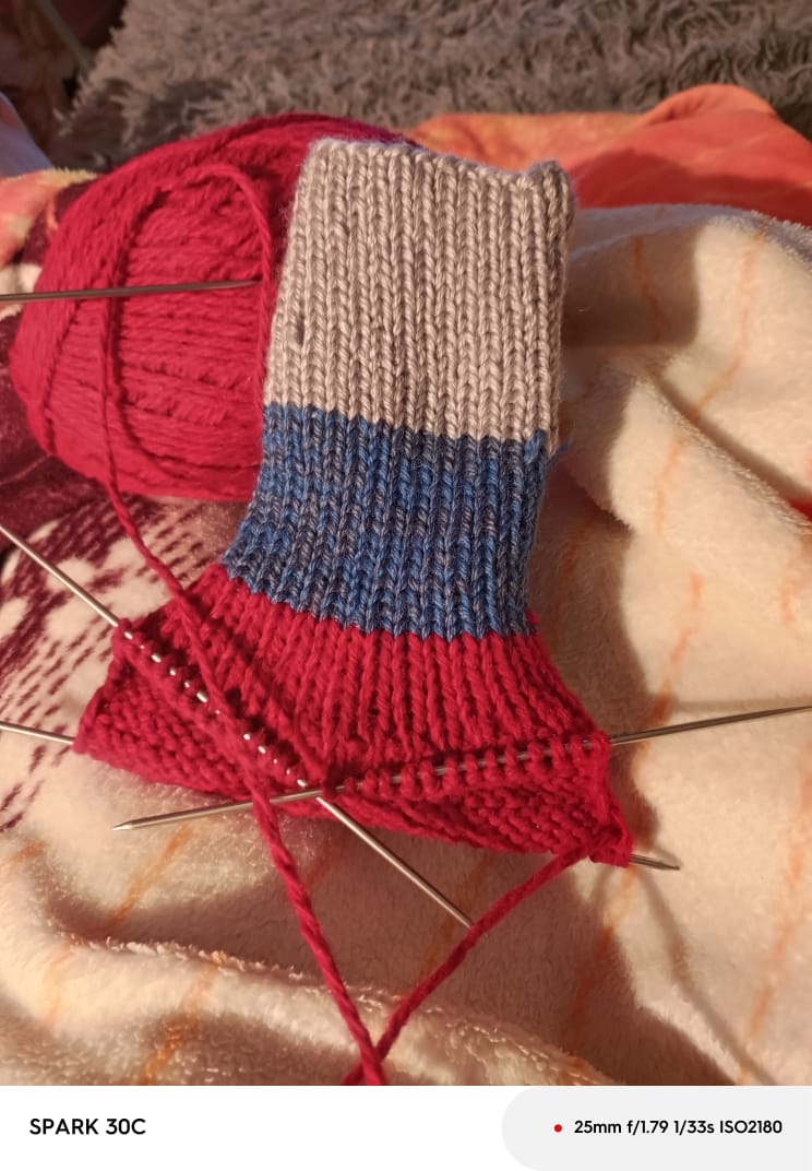 Вот и пятая пара!