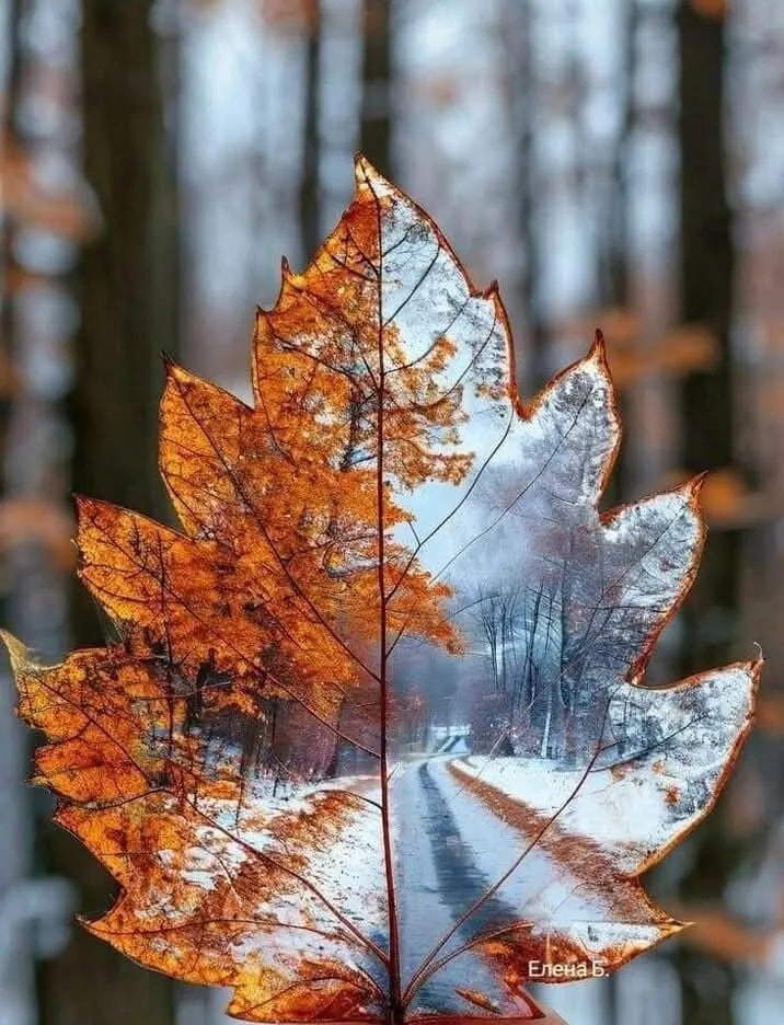 Слишком много но