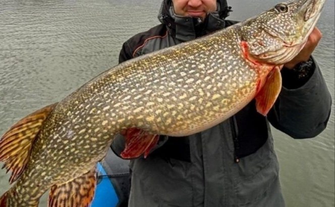 Мужик прославиться решил