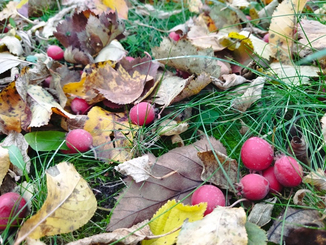 Душа поёт...