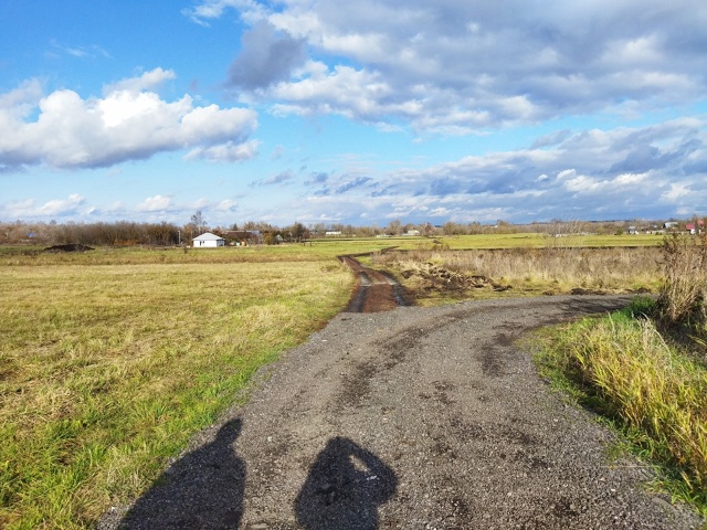 Солнечный осенний день