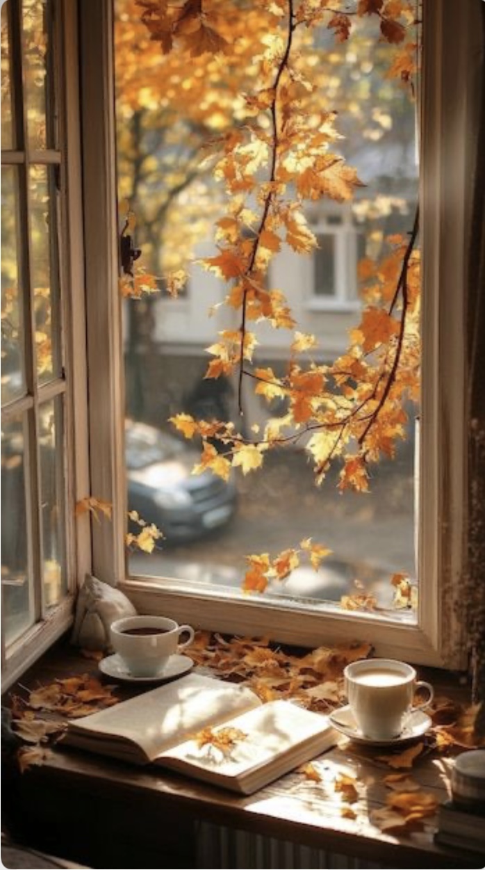 Сюрпризы ноября