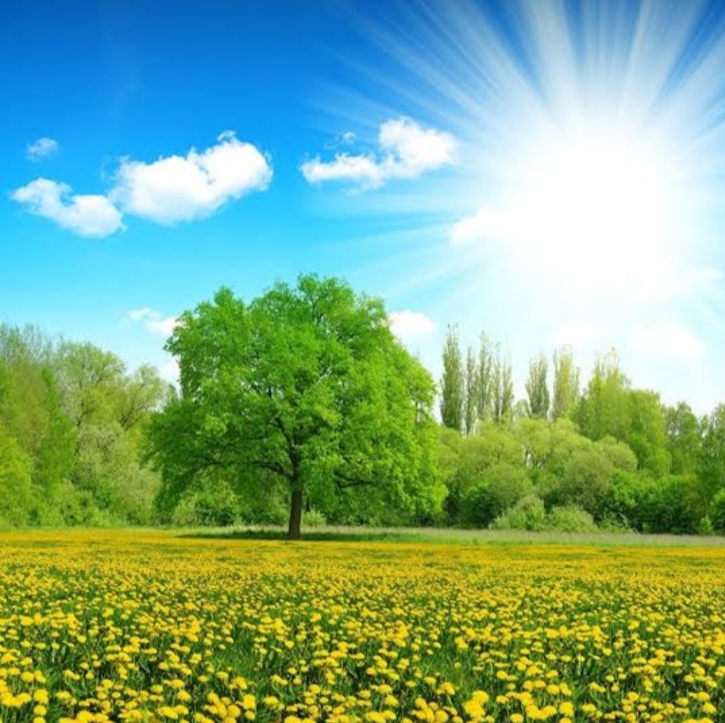 Не падай духом, дорогая