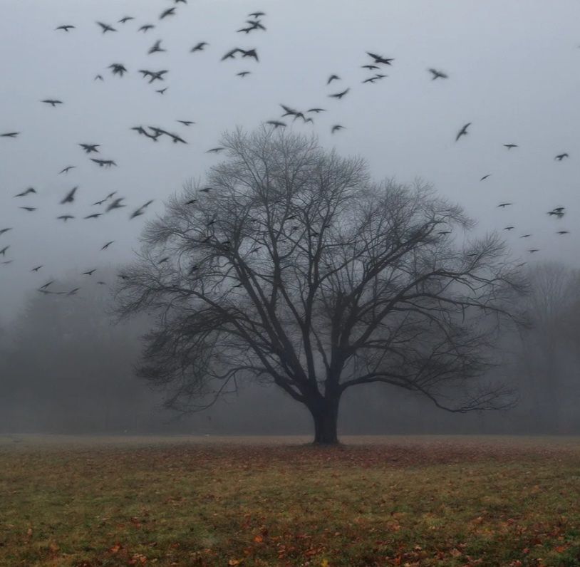 Предзимнее