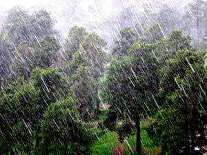 Ливень хлынул