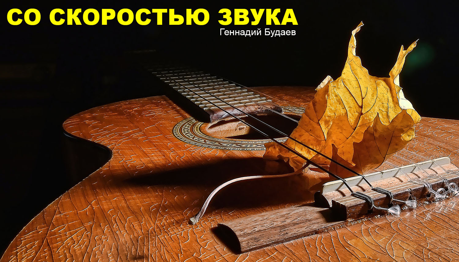 Со скоростью звука