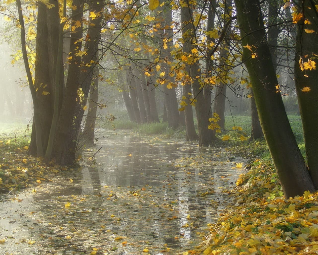 Унылая хандра