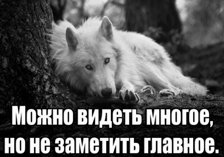 Не ищите где не стоит