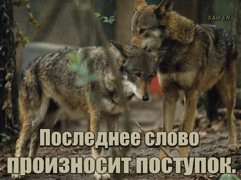 Есть тень сомнения