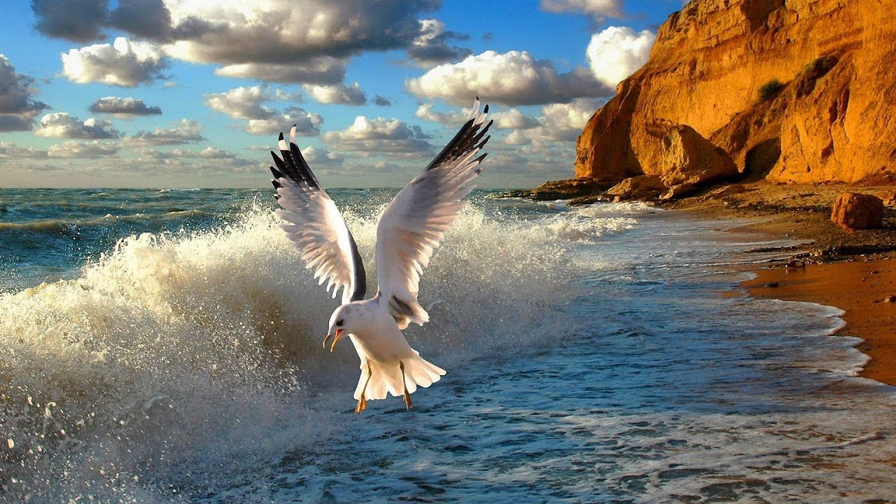 Спасибо вам, Друзья!