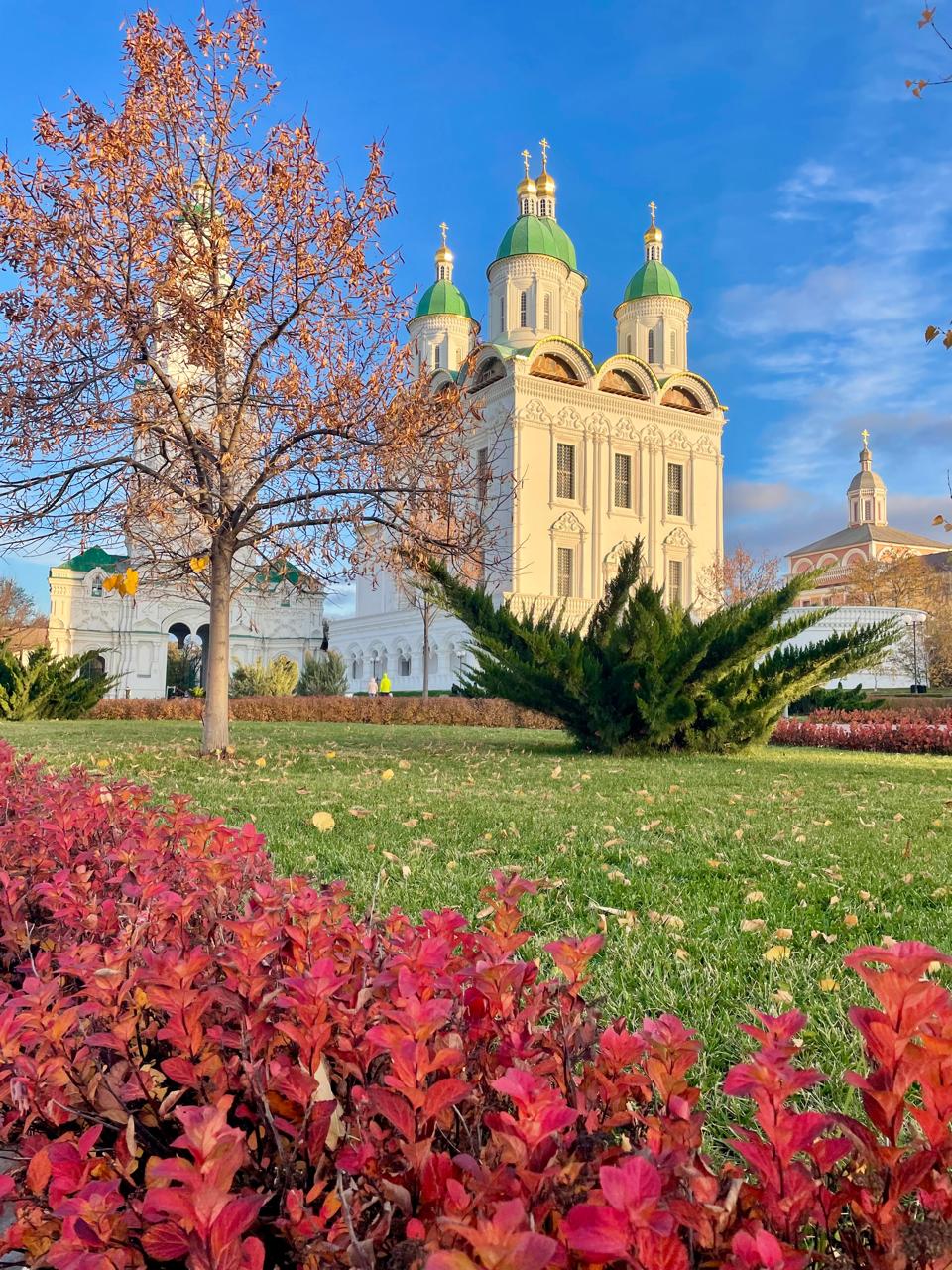 Порывом ветер луг причешет