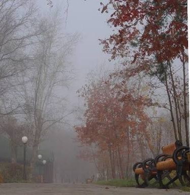 Осенняя рапсодия