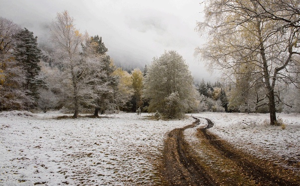 Ноябрьский снег