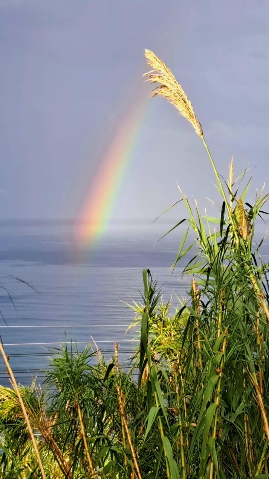 Ты - в радуге!