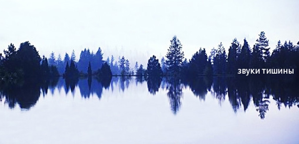 Звуки тишины