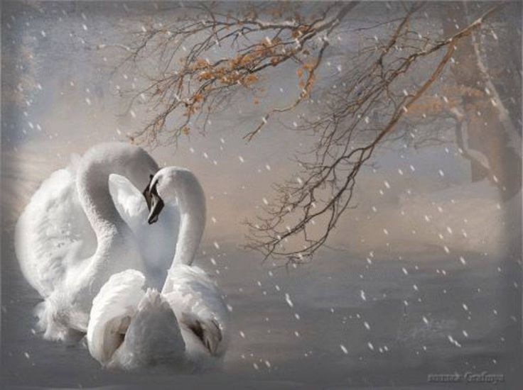 Зажег во мне огонь души