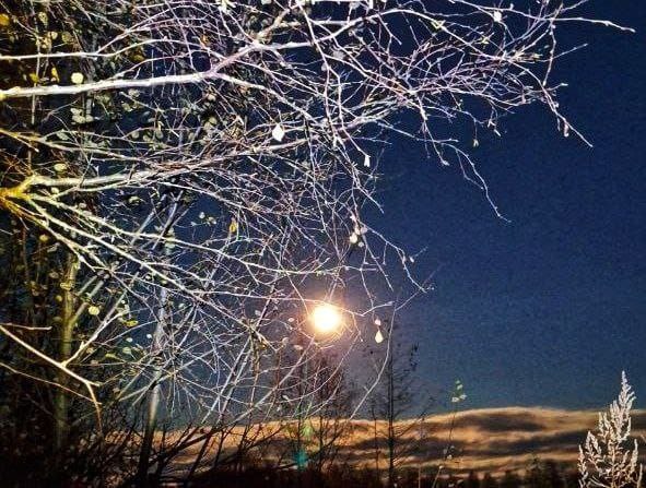 Как искренне в ночи горит звезда