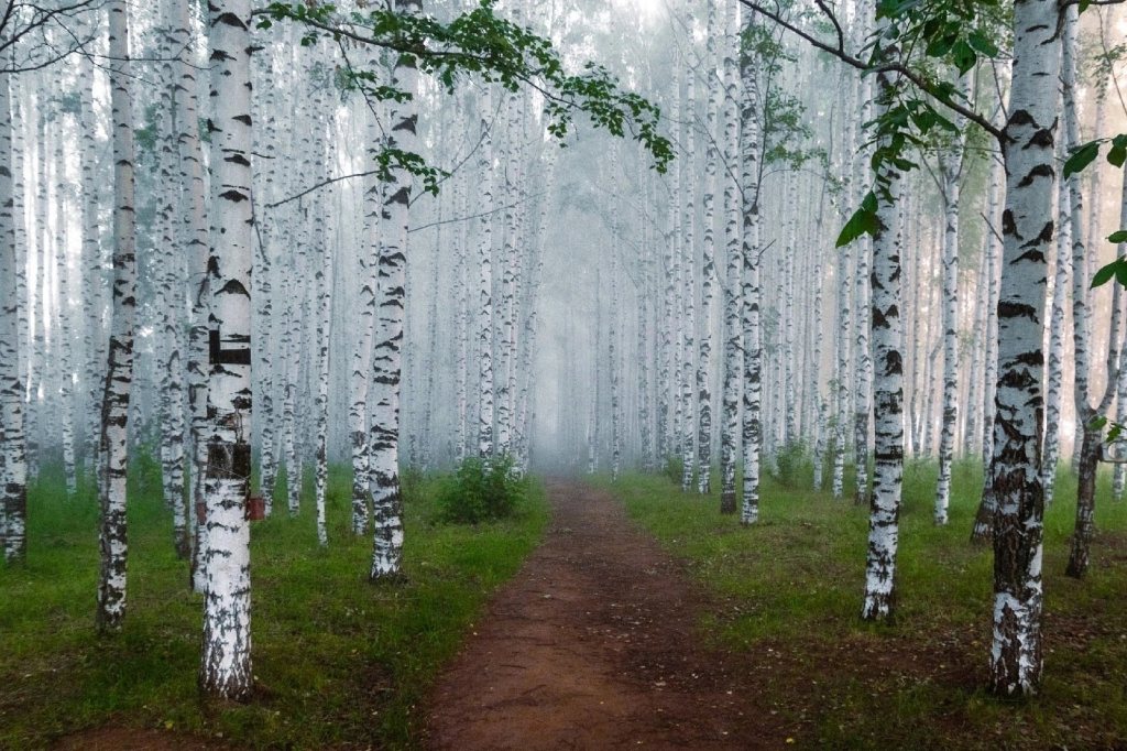 СЕКСтины, N1255, О единении с природой