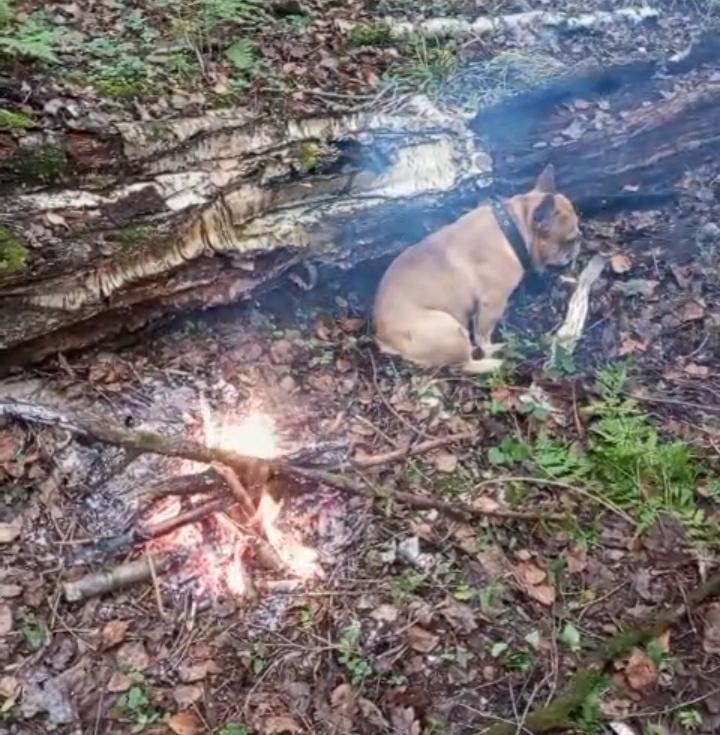 Обиды без меры