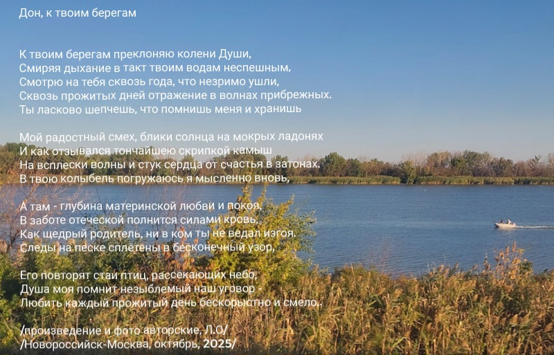 К твоим берегам..