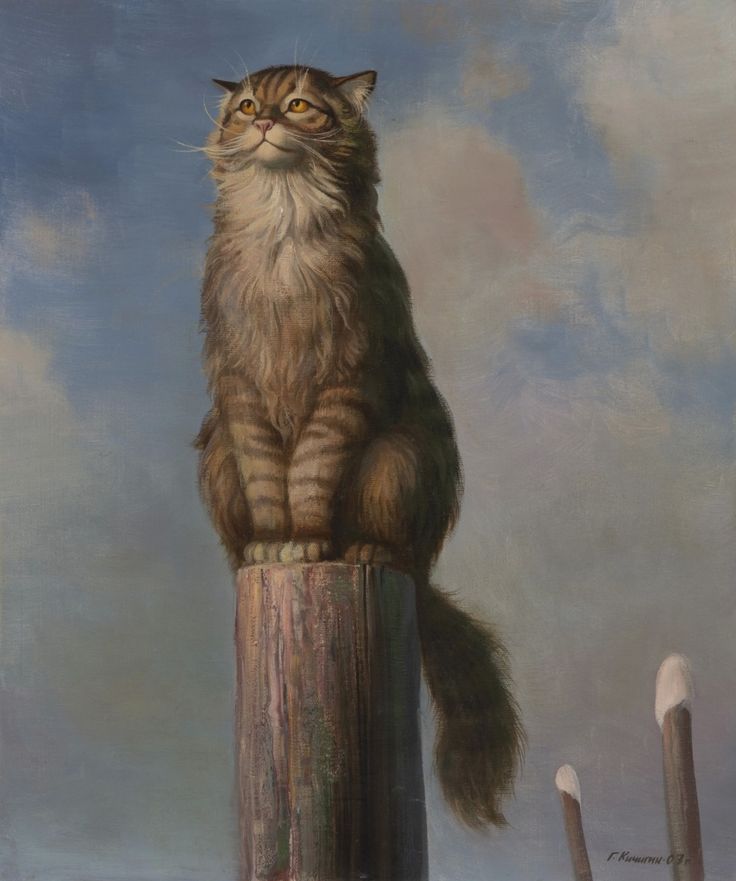 Сибирский кот сибирской зимой