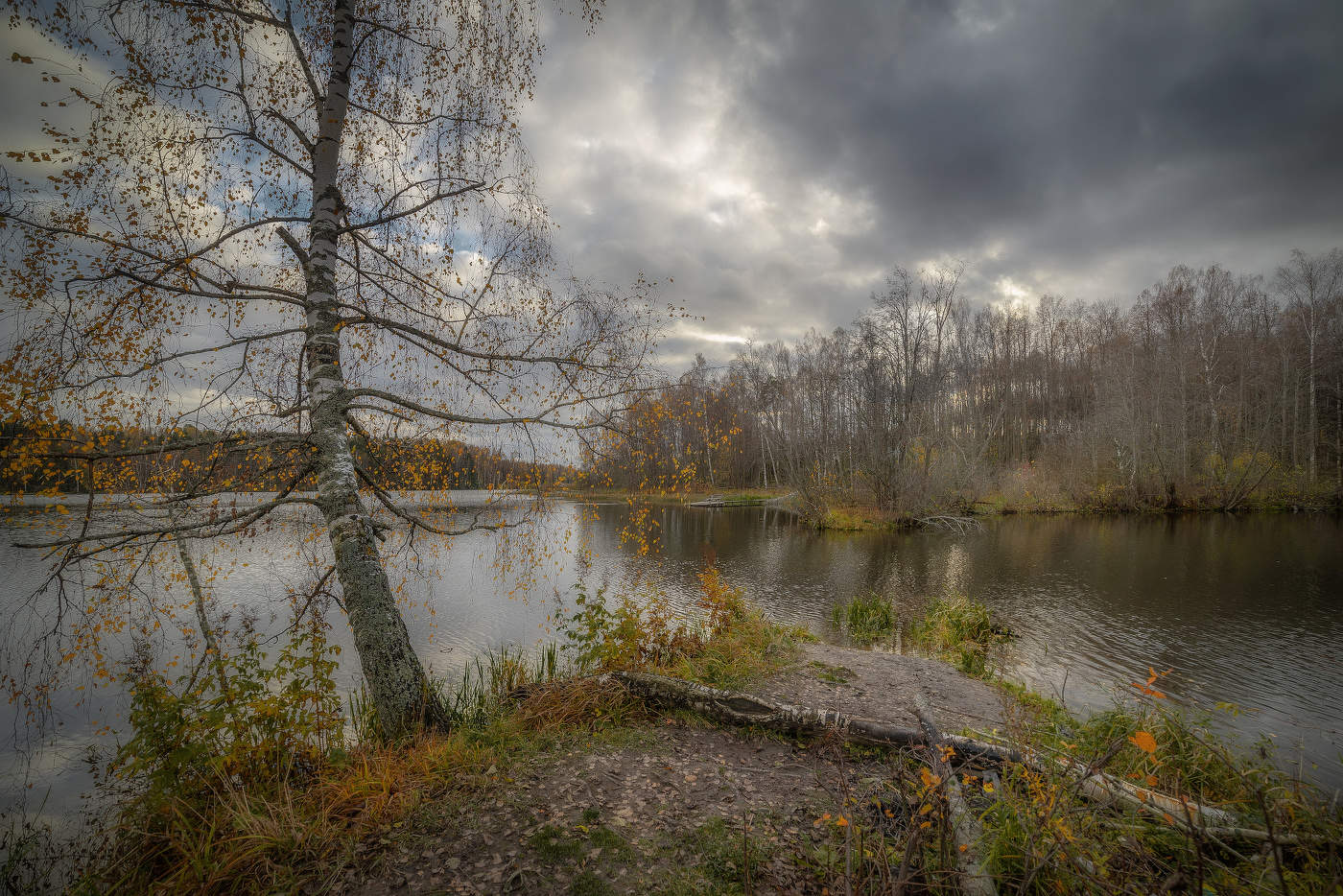 Осенняя кода