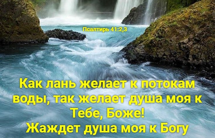 Моя душа к Тебе, Господь, стремится