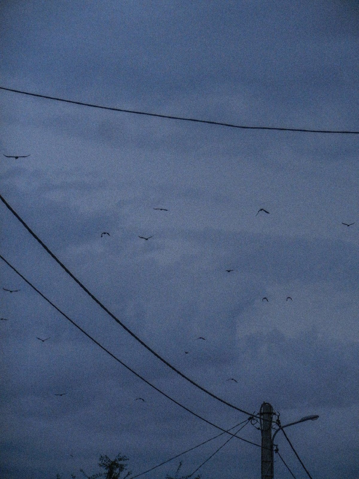 Там вдохновения вагоны