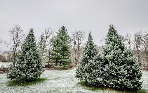 Через тернии, к доброму