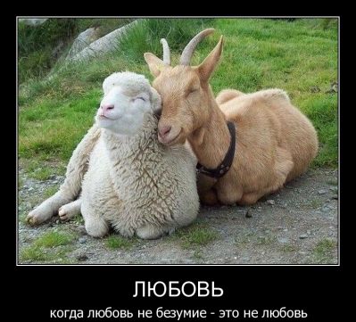 Про то говорили гиды