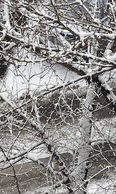 ЯС о снеге - 3