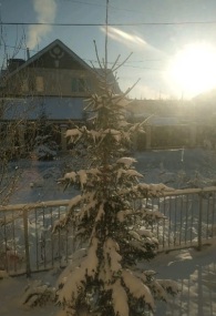 В преддверии зимы