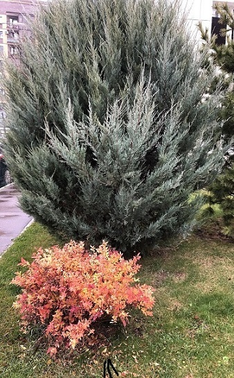 Поздняя осень