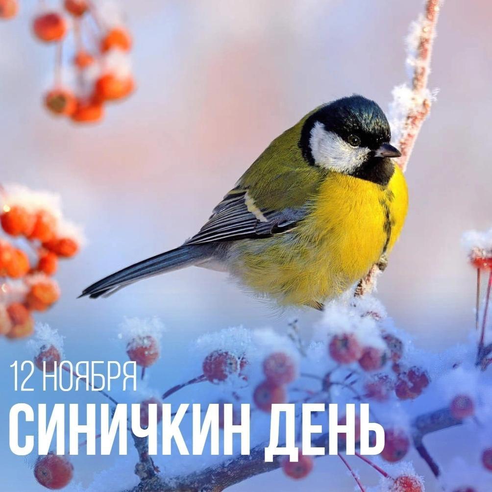 Синичкин день