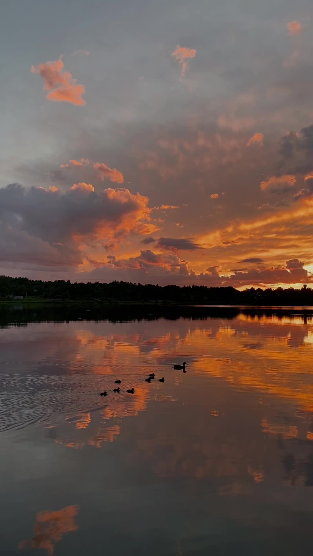 Когда зори тихие опускались вниз