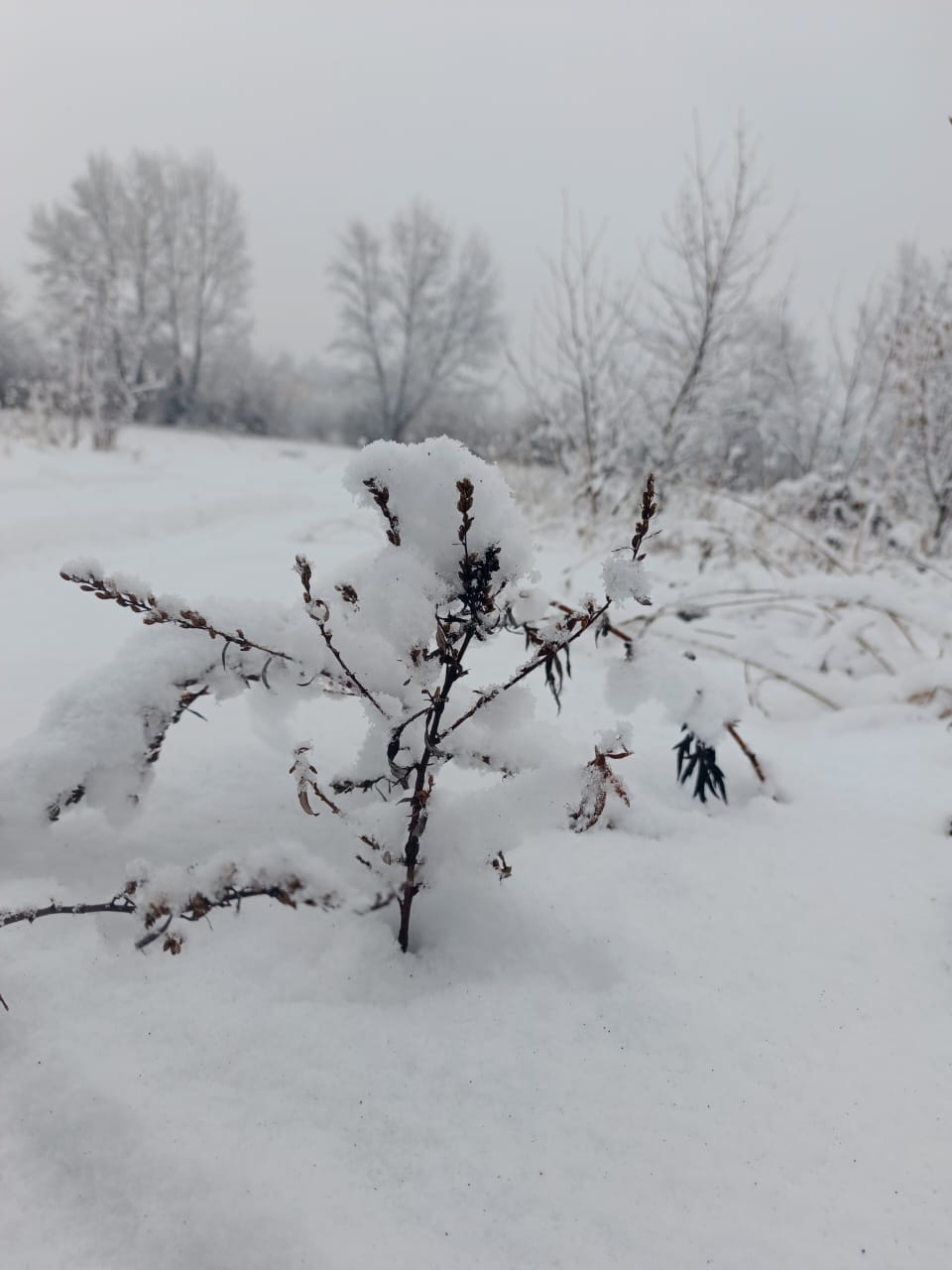 Осень простилась