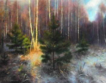 Ноябрьский сюжет